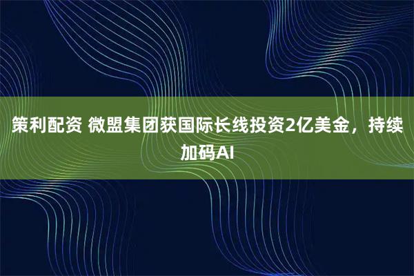 策利配资 微盟集团获国际长线投资2亿美金，持续加码AI