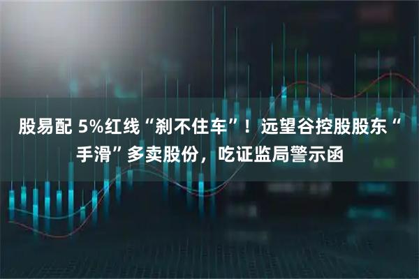 股易配 5%红线“刹不住车”！远望谷控股股东“手滑”多卖股份，吃证监局警示函