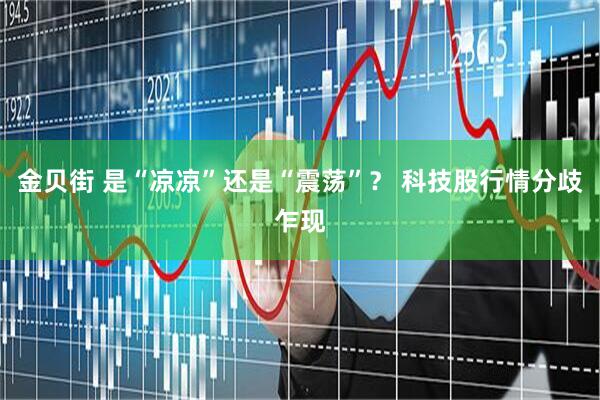 金贝街 是“凉凉”还是“震荡”？ 科技股行情分歧乍现