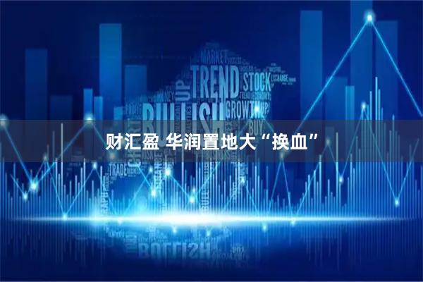 财汇盈 华润置地大“换血”
