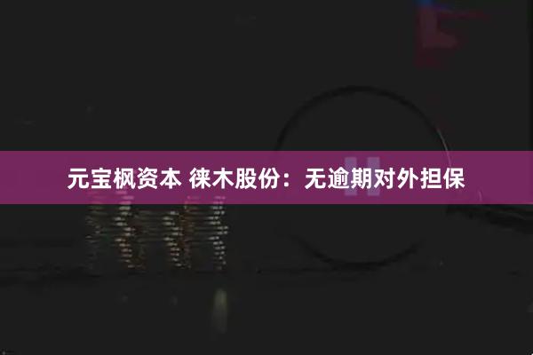 元宝枫资本 徕木股份：无逾期对外担保