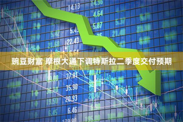 豌豆财富 摩根大通下调特斯拉二季度交付预期